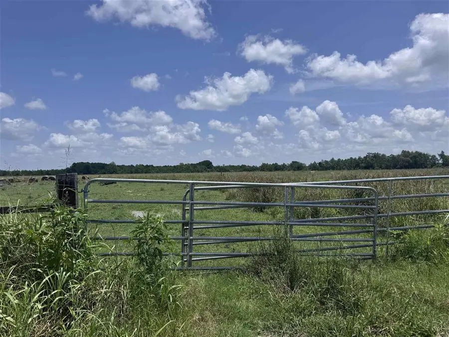 00 Estherwood Highway, Iota, LA 70543 - #2