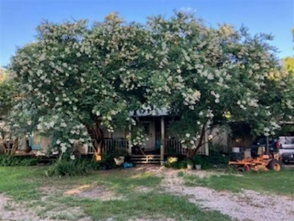 4146 Watkins Road, Lake Arthur, LA 70549 - #1