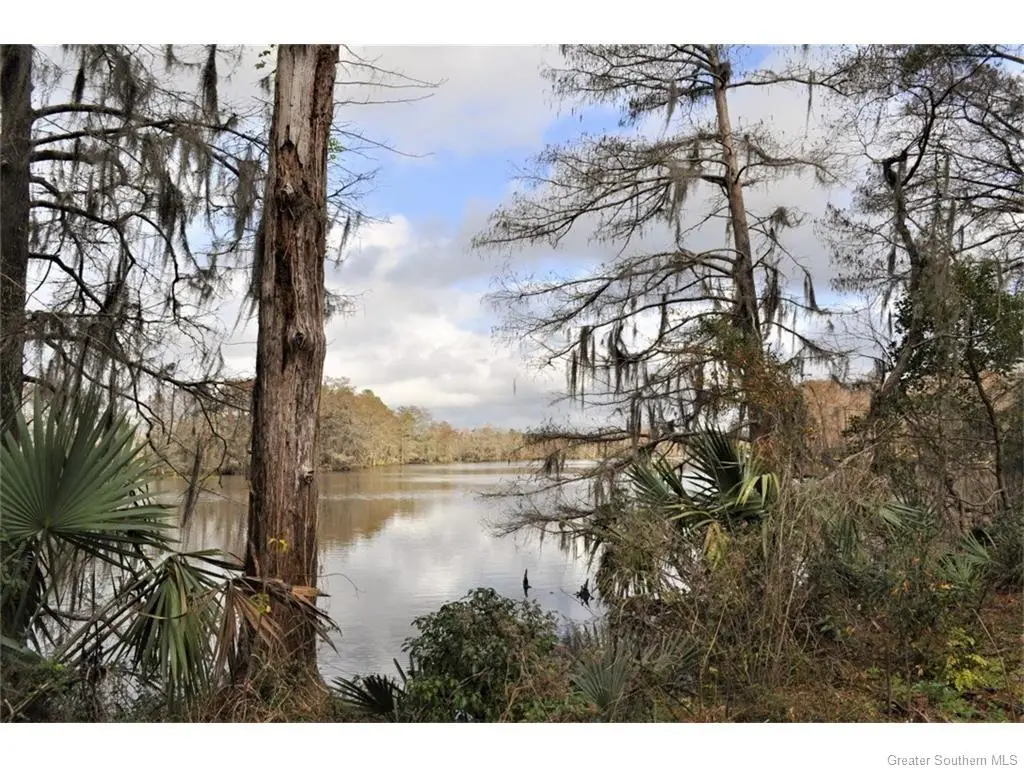 0 Fitzenreiter Road, Lake Charles, LA 70601 - #1