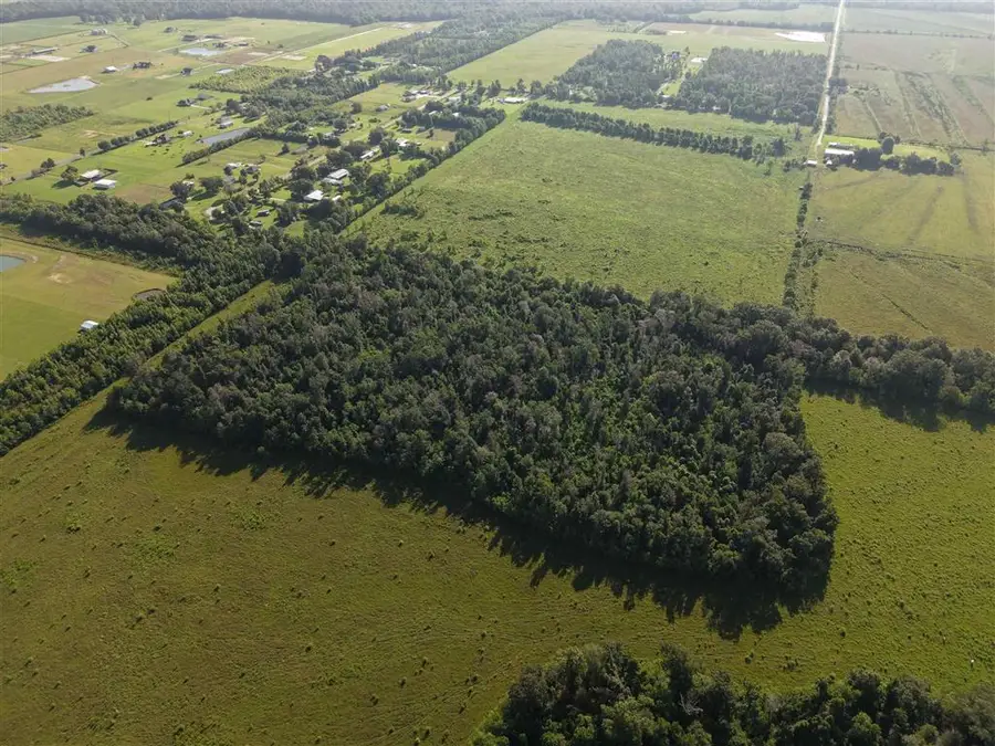 TBD Briar Marsh Road #70657, Ragley, LA  - #2