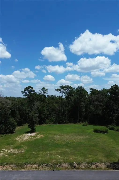0 Meadowlark Lane, Vinton, LA 70668 - #2