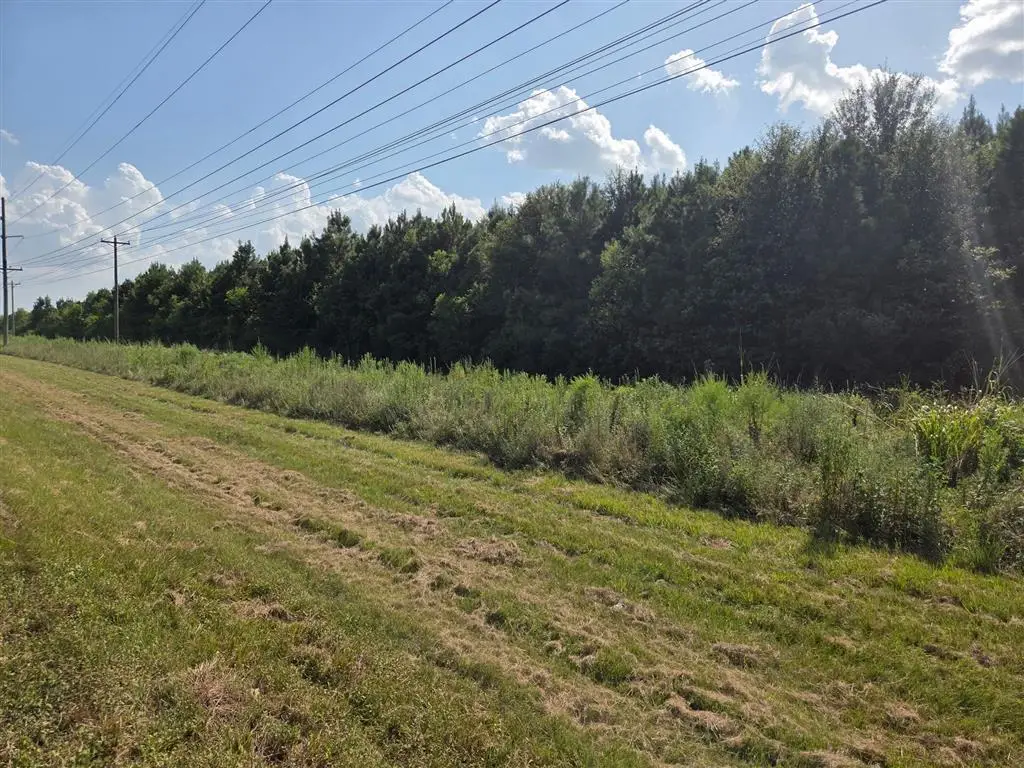 Highway 171, Ragley, LA 70657 - #1