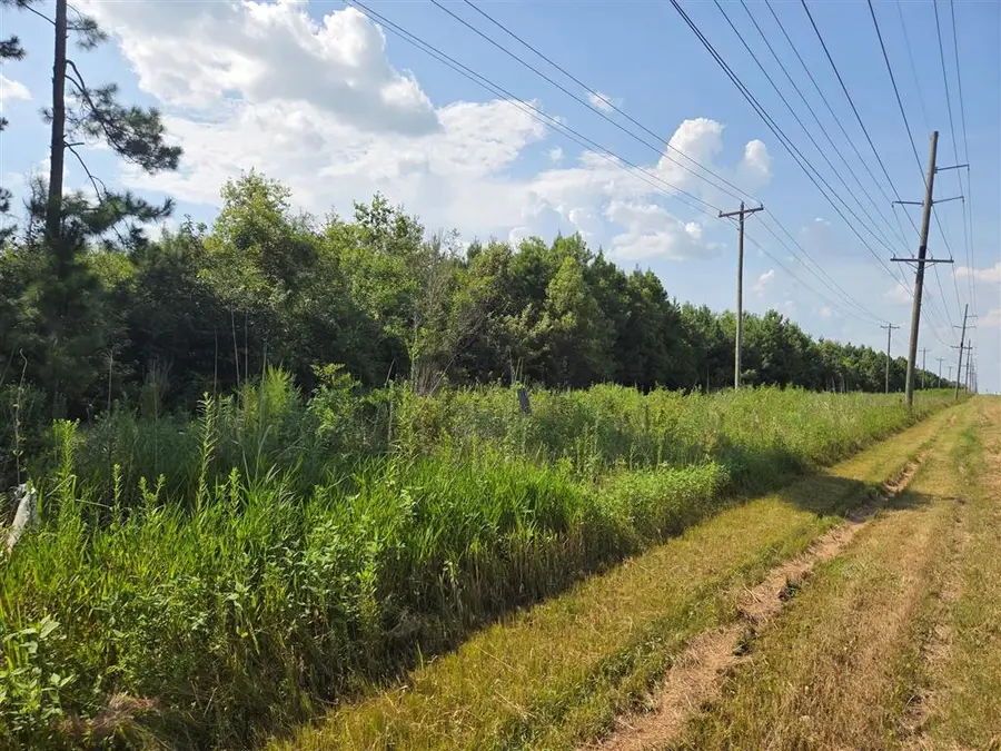 Highway 171, Ragley, LA 70657 - #2