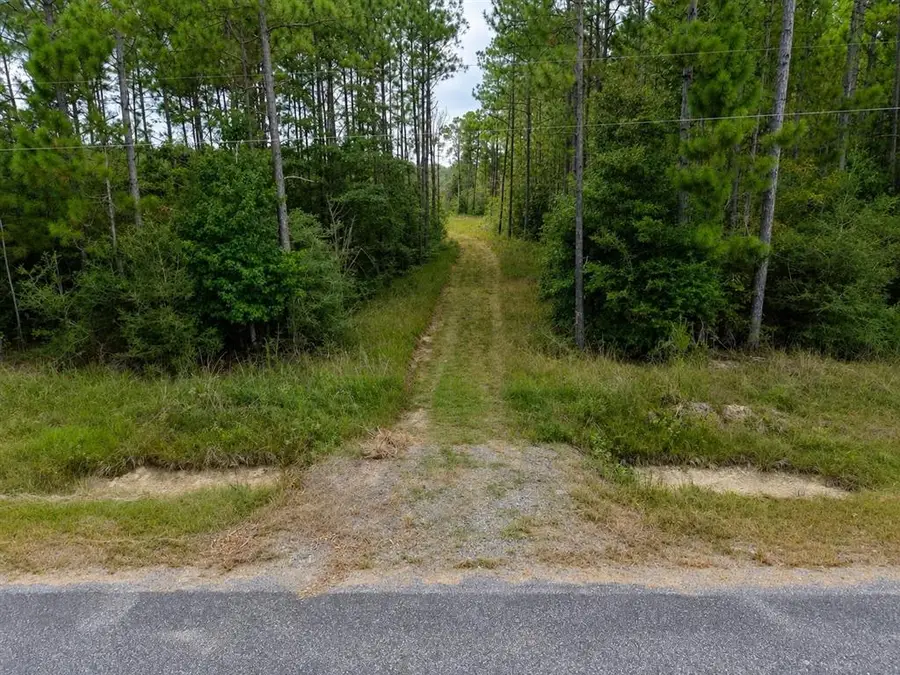 1150 Alston Cemetery Road, Dequincy, LA  - #2