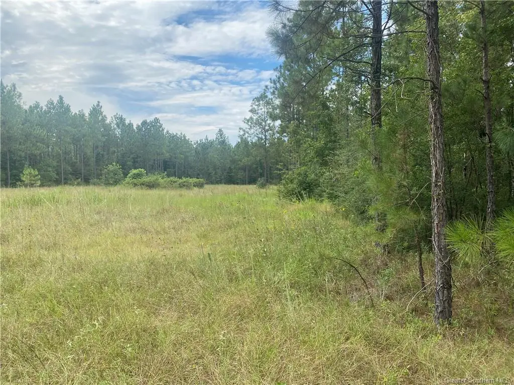 0 Hwy 27 Highway, Dequincy, LA 70633 - #1