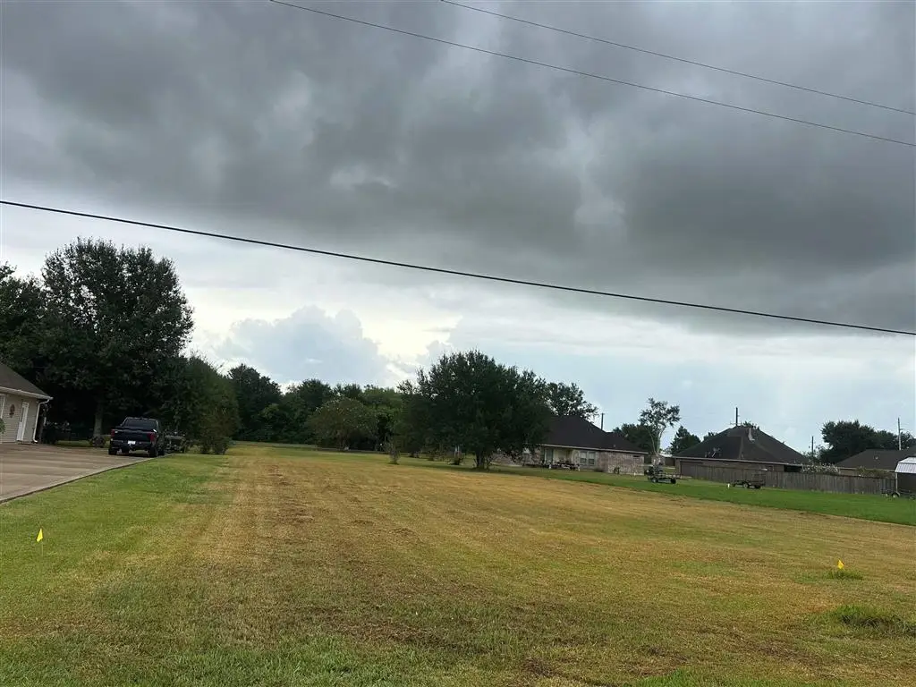 Alexa Drive, Iowa, LA 70647 - #1