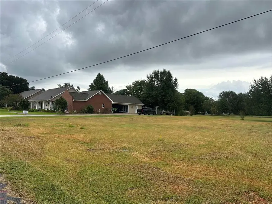 Alexa Drive, Iowa, LA 70647 - #3