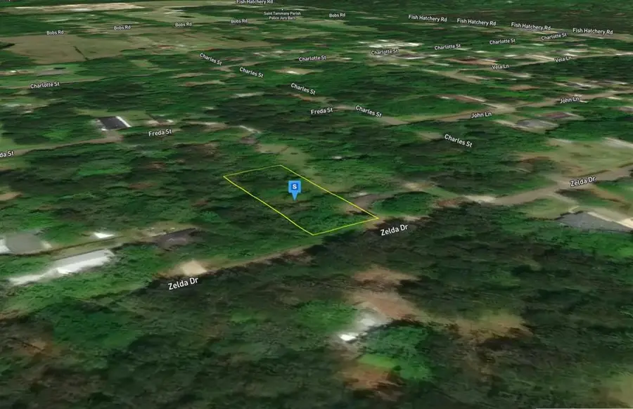 27321 Zelda Drive, Lacombe, LA 70445 - #3