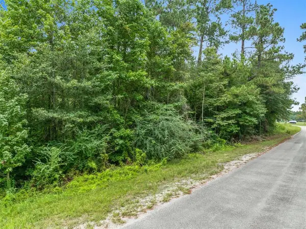 195 Ashworth Rd Road, Singer, LA 70660