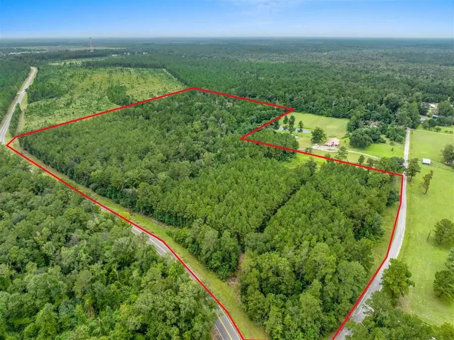 195 Ashworth Rd Road, Singer, LA 70660 - #3