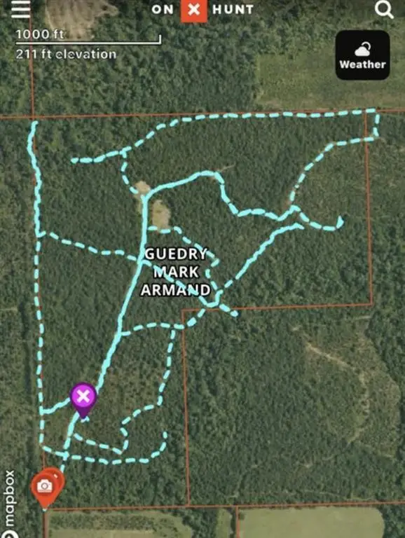 1661 Rutherford Road, Deridder, LA  - #3