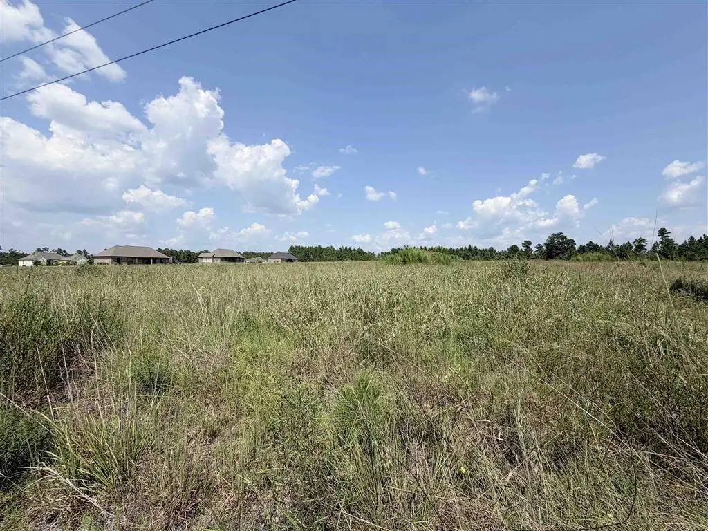 TBD Highway 171, Longville, LA  - #1