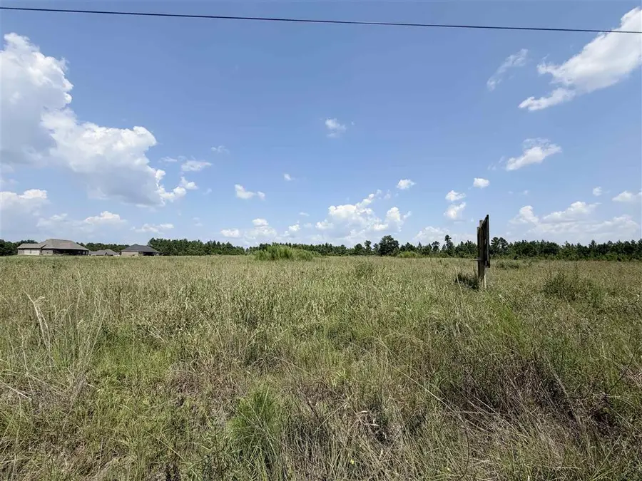 TBD Highway 171, Longville, LA  - #3