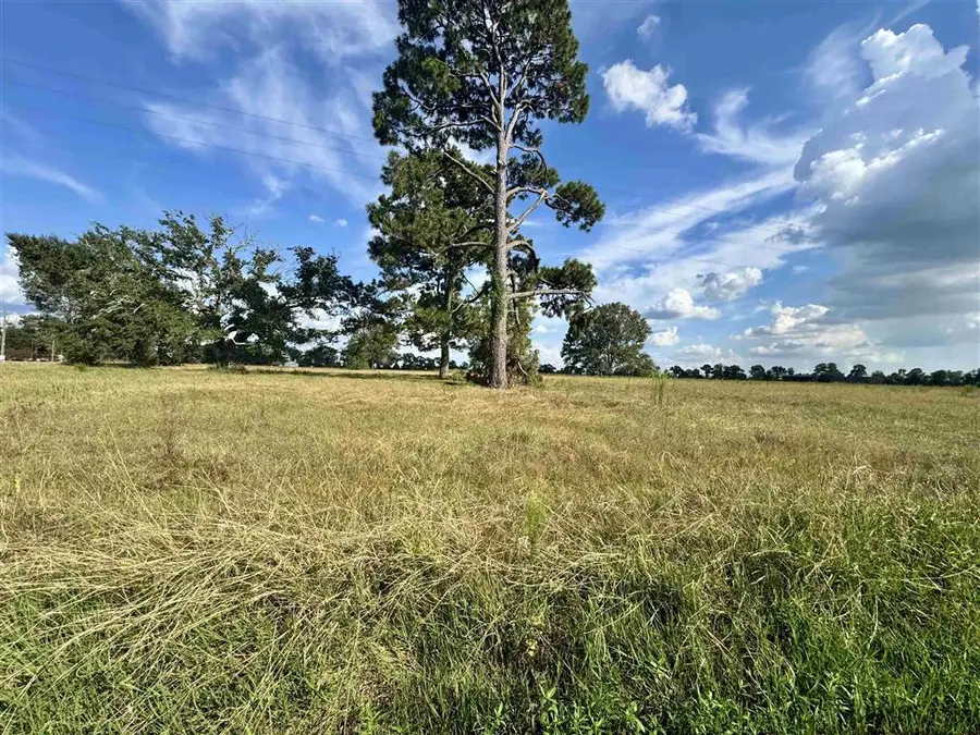 Nielson Rd & Charlie Kuntz Rd Road, Kinder, LA 70648 - #3