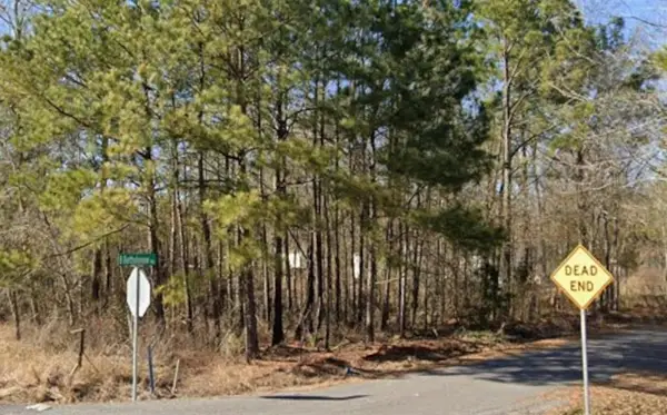 TBD Fannie Verdine Road, Starks, LA 70661