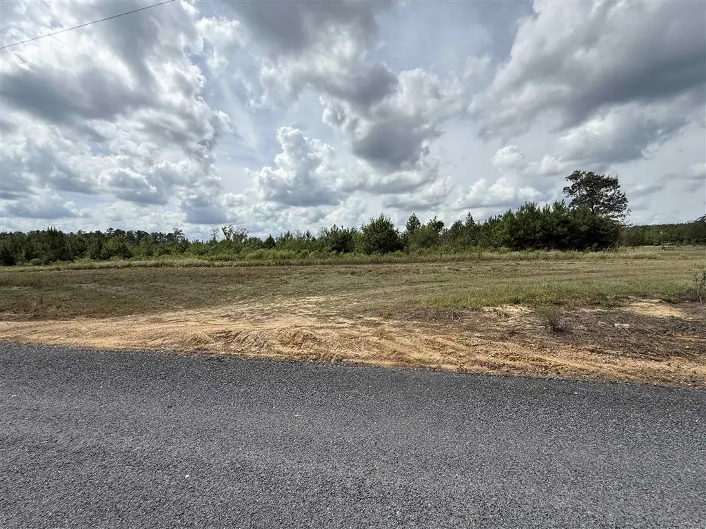 TBD Greentown Road, Dry Creek, LA 70637 - #1
