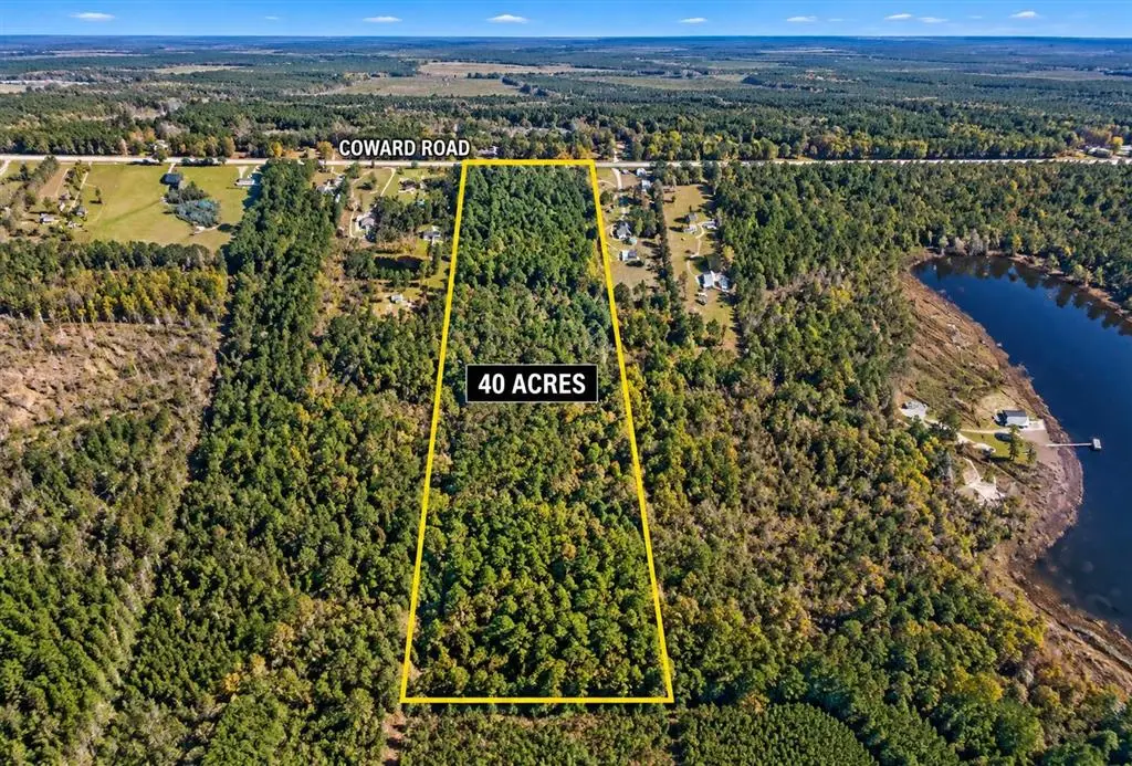 1163 Coward Road, Dequincy, LA 70633 - #1
