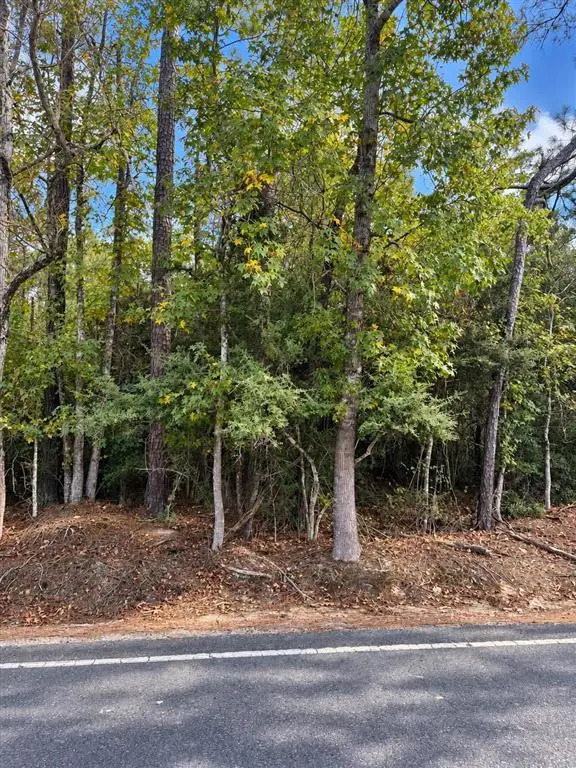1163 Coward Road, Dequincy, LA 70633 - #3