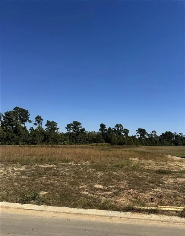 3142 Snowy Egret Drive, Lake Charles, LA 70615