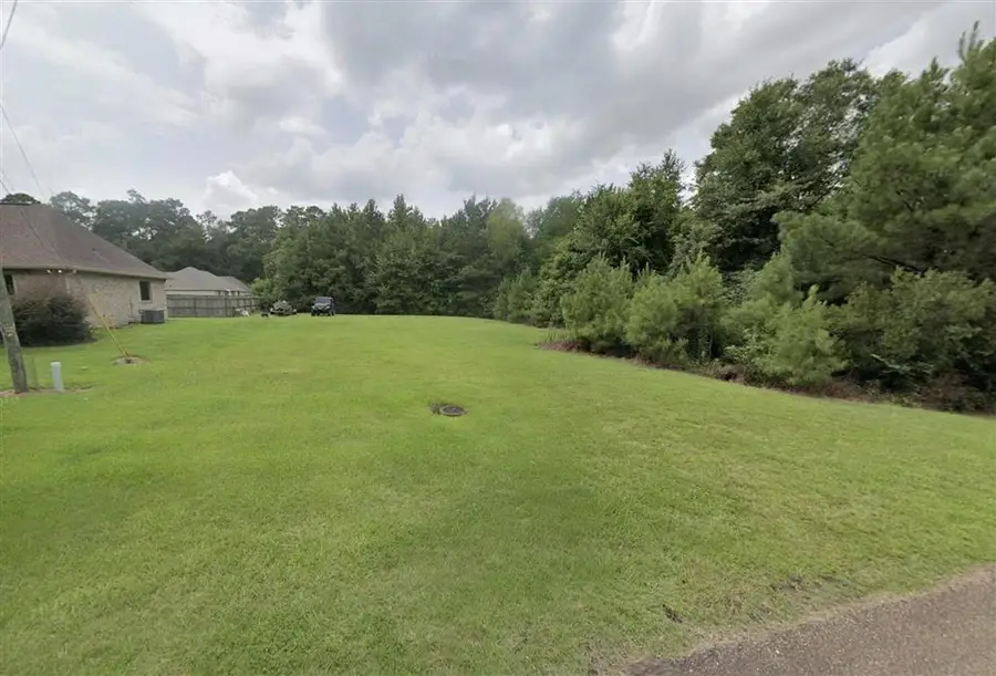 41177 Berry Ridge Drive, Ponchatoula, LA 70454 - #2