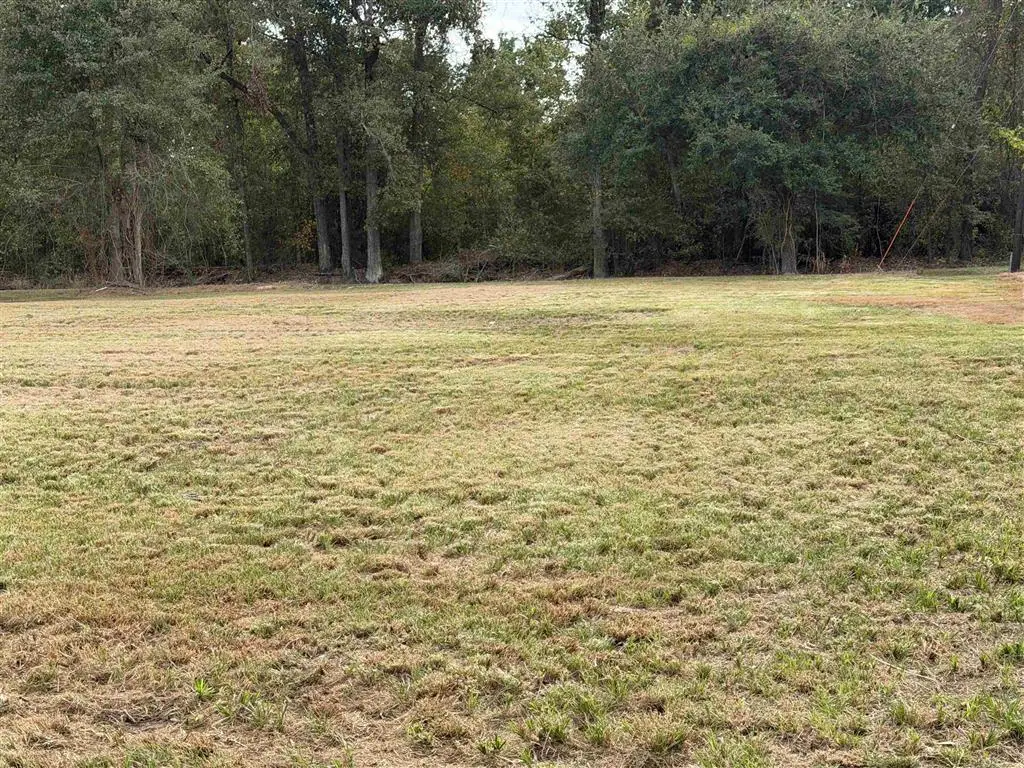 0 Leblanc Street, Sulphur, LA  - #1