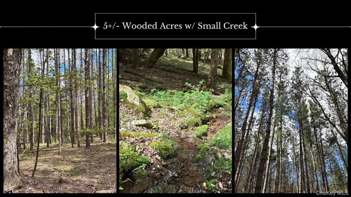 Lot 16 Putnam Road, Kortright, NY 13750 - #1