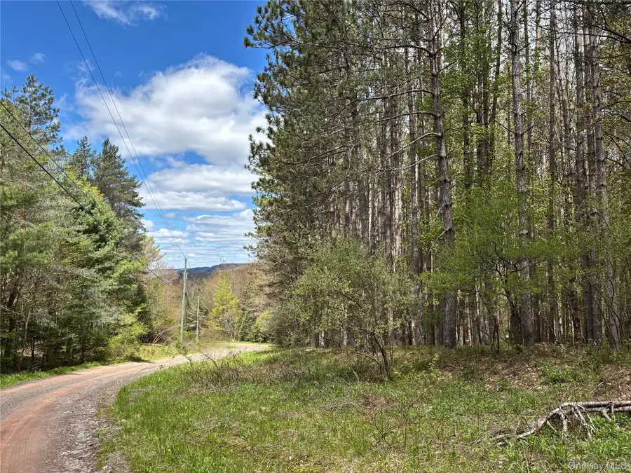 Lot 16 Putnam Road, Kortright, NY 13750 - #2
