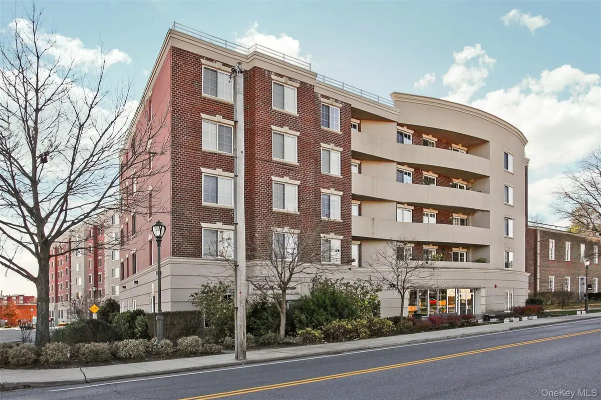 242 Maple Avenue #419, Westbury, NY 11590 - #1