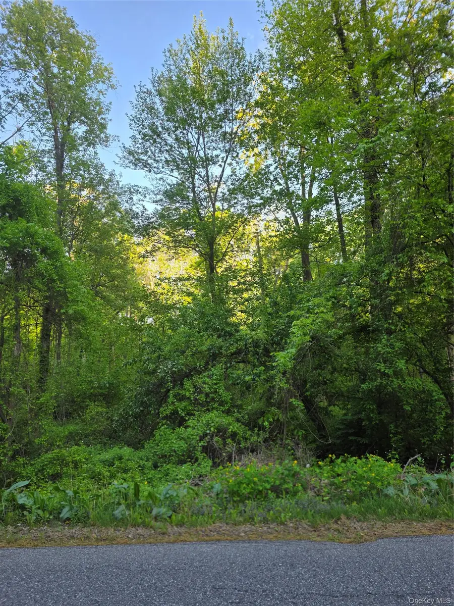 122 Archer Rd, Mahopac, NY 10541 - #3