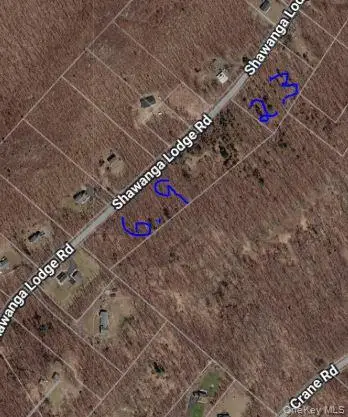 Shawanga Lodge Road, Mamakating, NY 12721 - #2