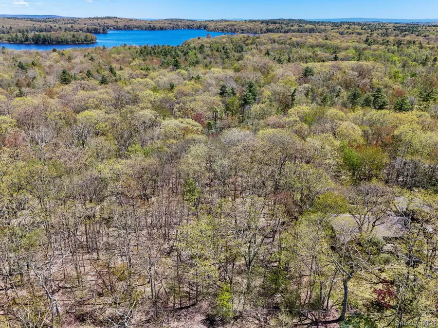Canal Road, Wurtsboro, NY 12790 - #2