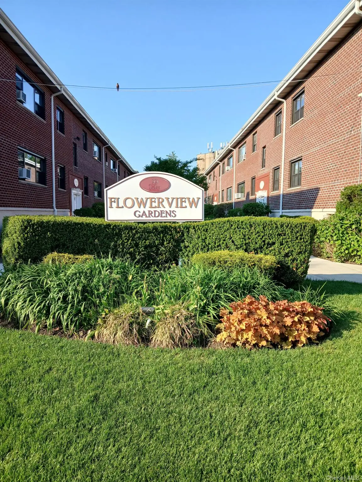 55 Tulip Avenue #B5-5, Floral Park, NY 11001 - #1