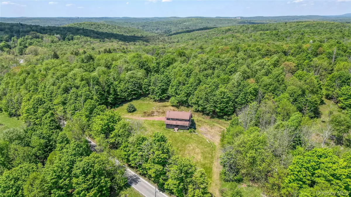 25 Cauthers Road, Fallsburg, NY 12733 - #1