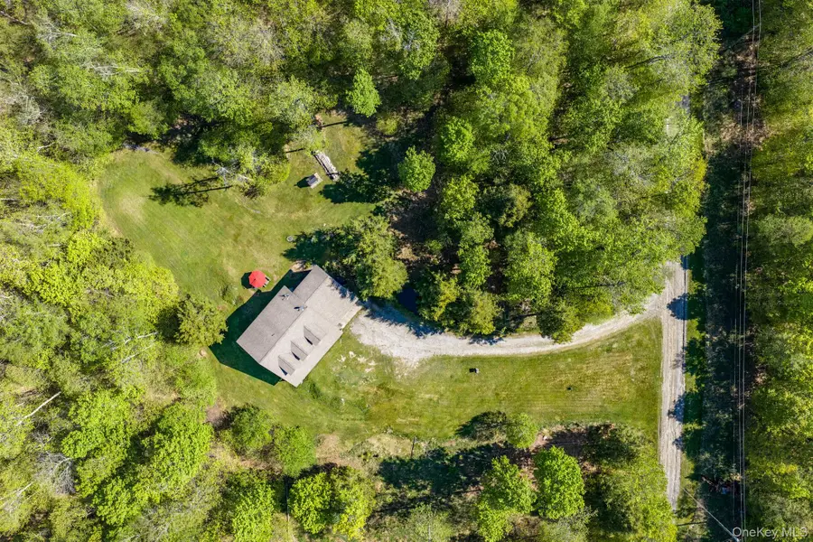 114 Turkey Hollow Lane, Livingston Manor, NY 12758 - #2