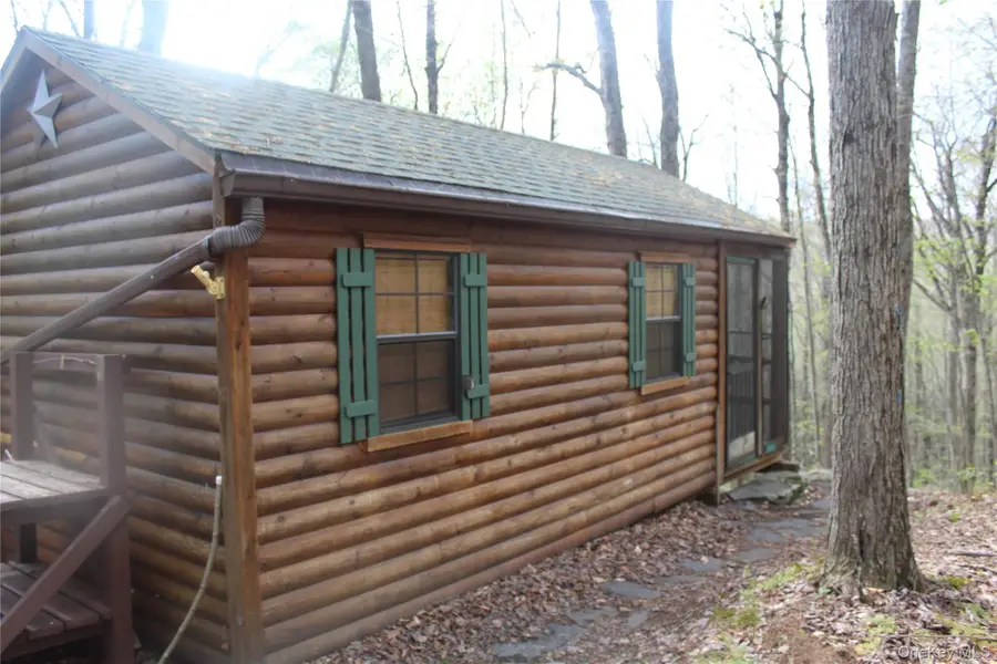 333 Peterson Drive, Roscoe, NY 12776 - #2