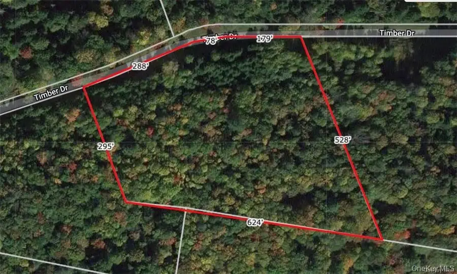 Lot 5 Timber Drive, Bethel, NY 12720 - #3