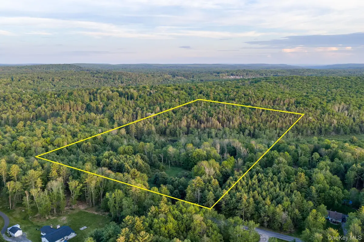 Mongaup Road, Monticello, NY 12701 - #1