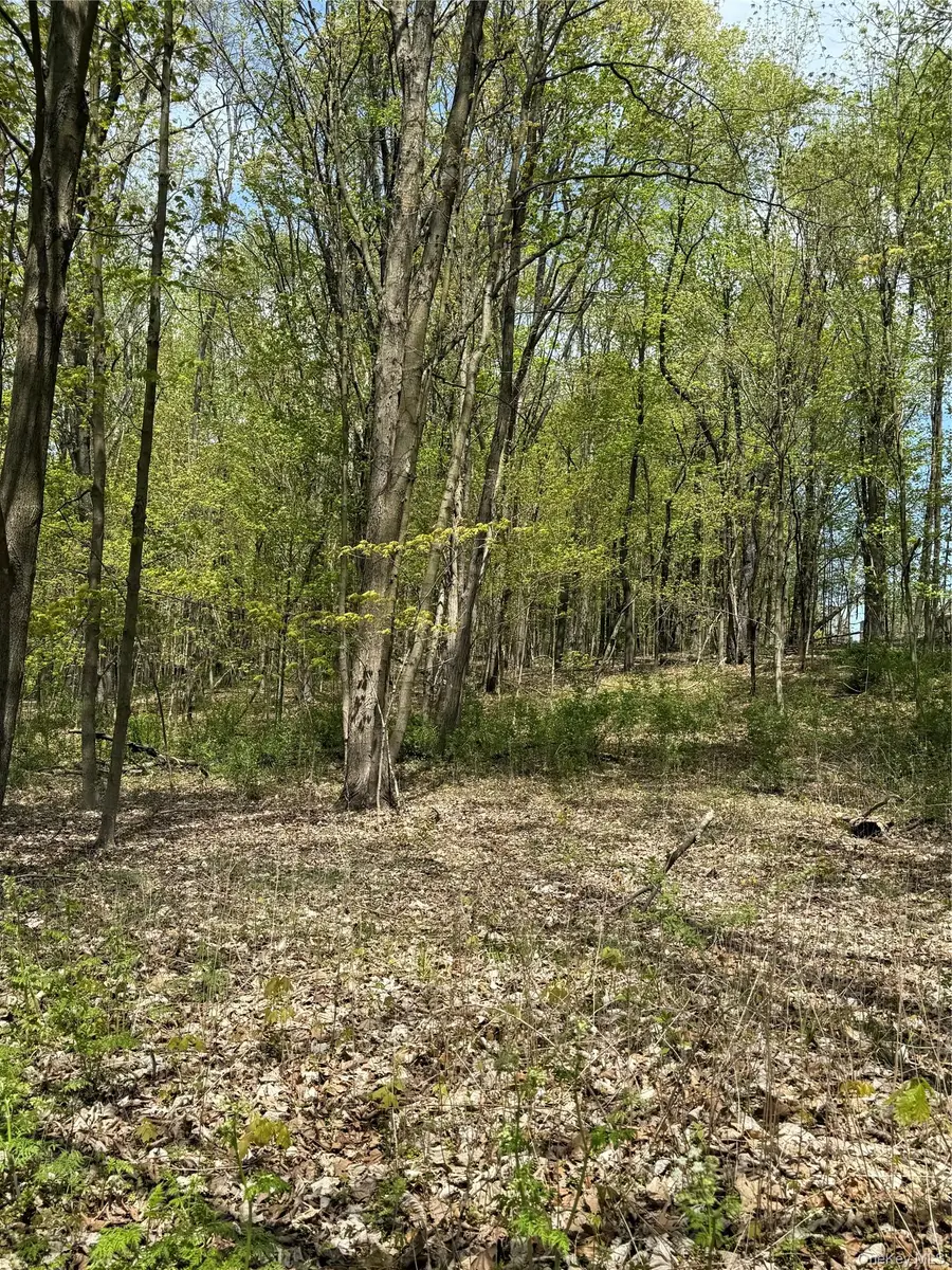 120 Floyd Ackert Road, Esopus, NY 12429 - #3