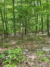 TBD Hawleys Corners, Highland, NY 12528