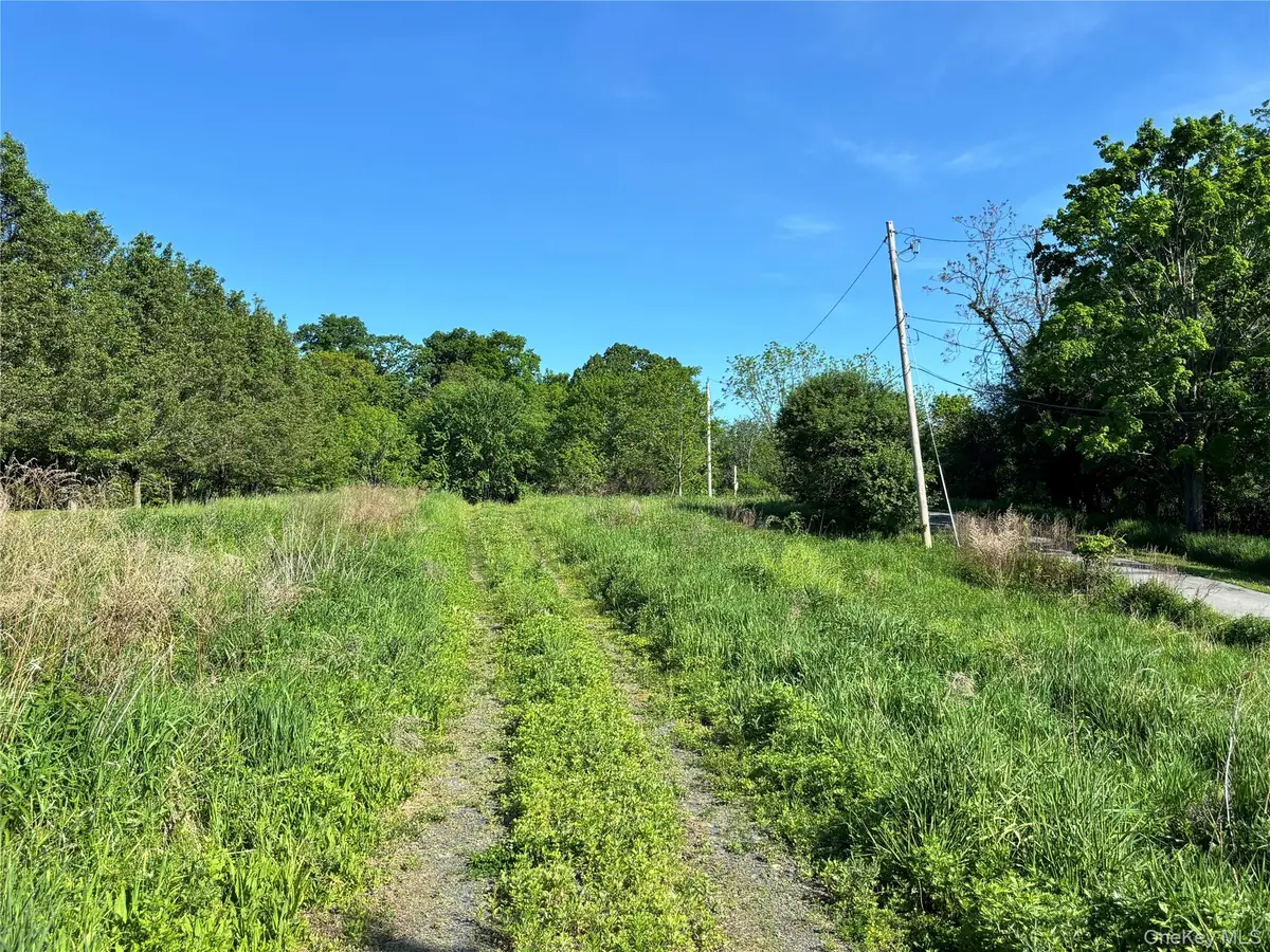 South Plank Road, Westtown, NY 10998 - #1