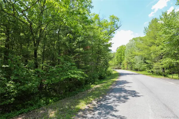 TBD Bristol Hill Road, Hurley, NY 12443