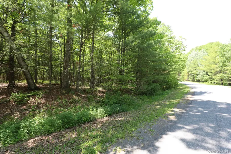 TBD Bristol Hill Road, Hurley, NY 12443 - #3