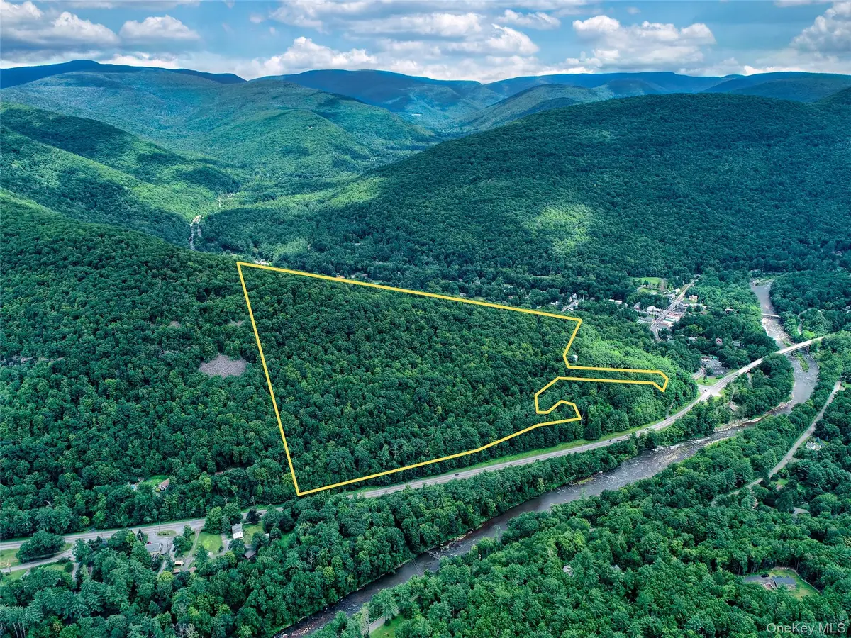 TBD NY-28 Route, Phoenicia, NY 12464 - #1