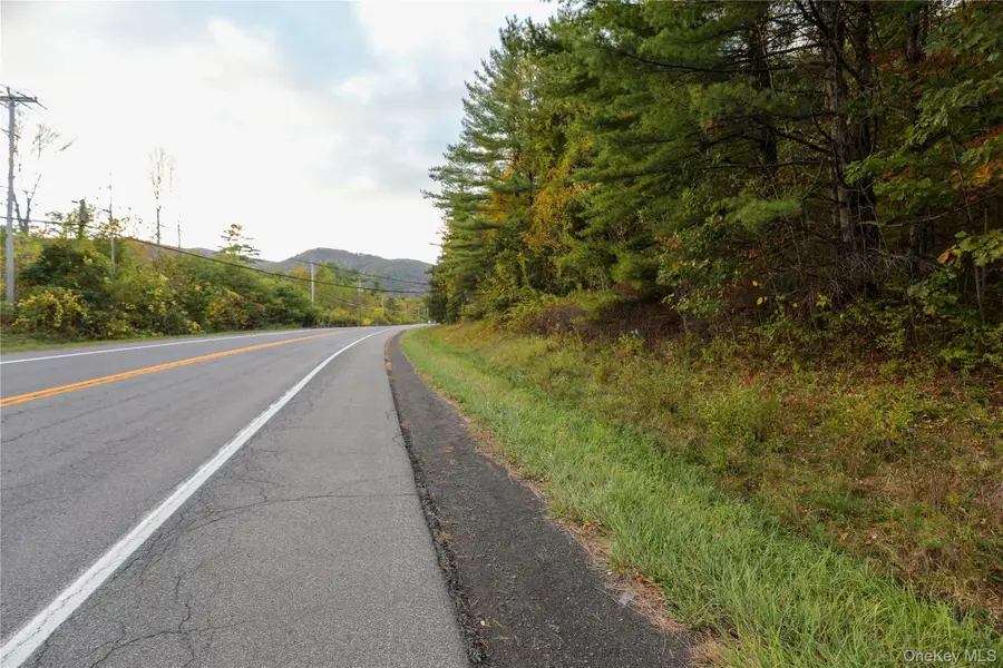 TBD NY-28 Route, Phoenicia, NY 12464 - #2