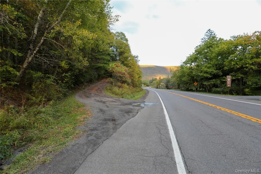 TBD NY-28 Route, Phoenicia, NY 12464 - #3