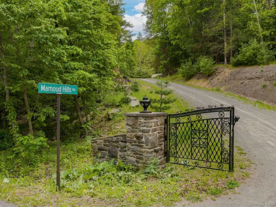 40 Mamoud Hills, Lot #4 Road, Kingston, NY 12401 - #3