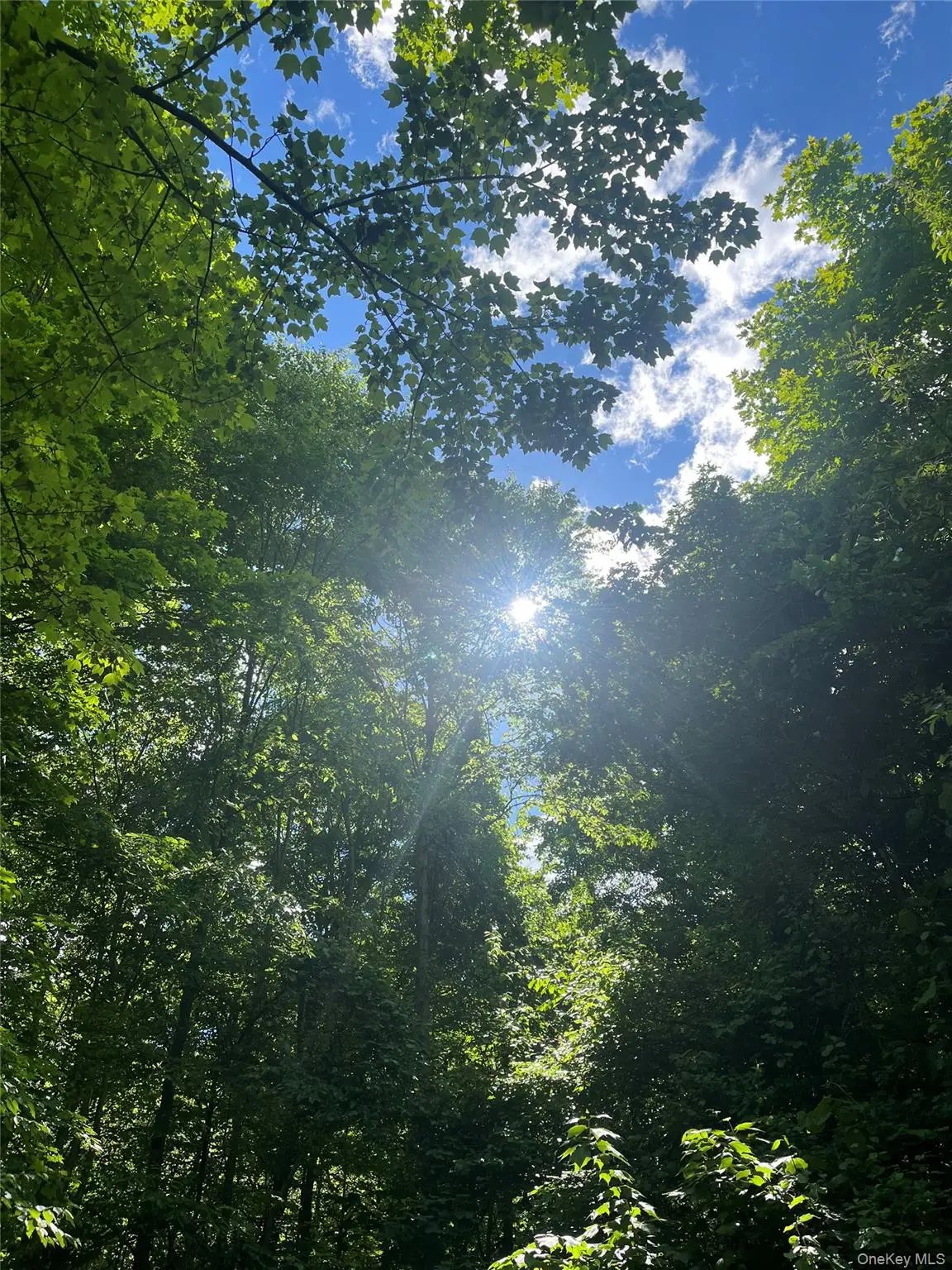 Old Church Road, Putnam Valley, NY 10579 - #1