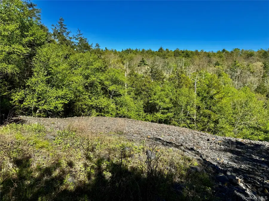 101 Stone Road, Hurley, NY 12491 - #2