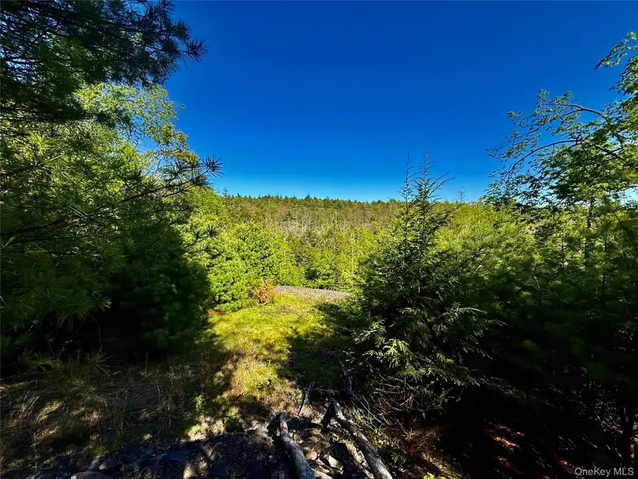 101 Stone Road, Hurley, NY 12491 - #3