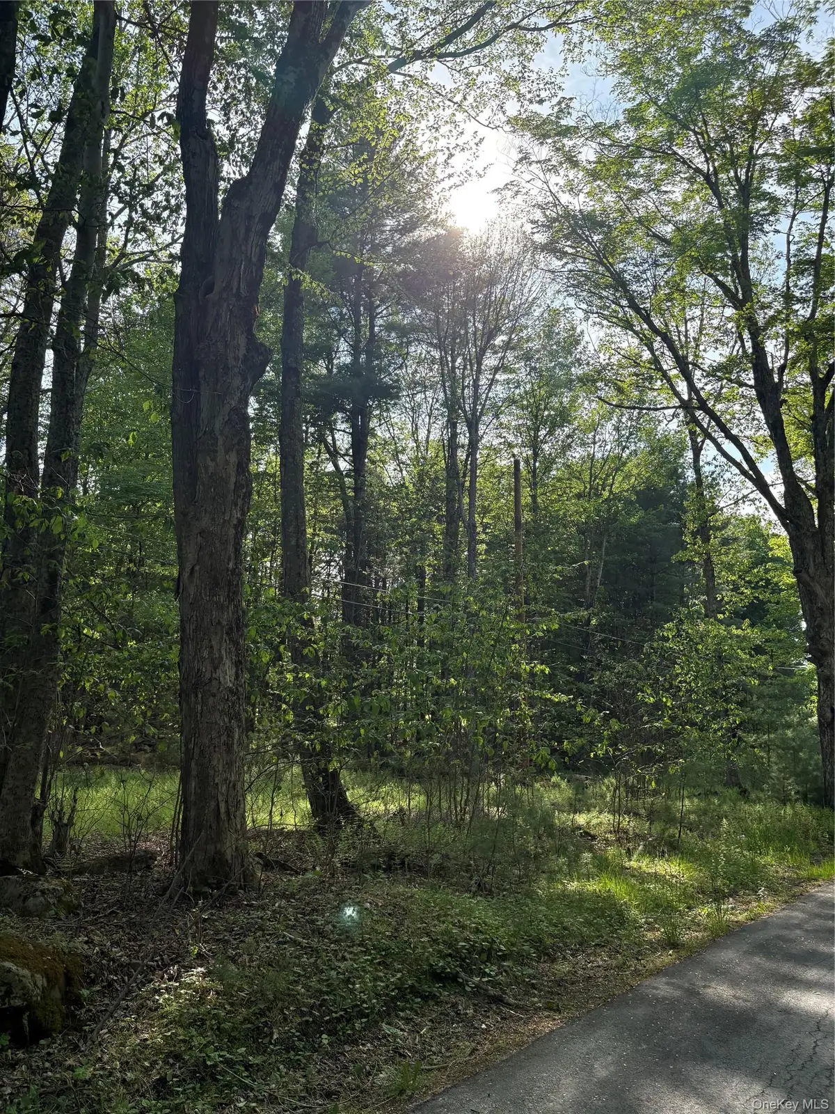 Lucks Road, Greenfield Park, NY 12435 - #1